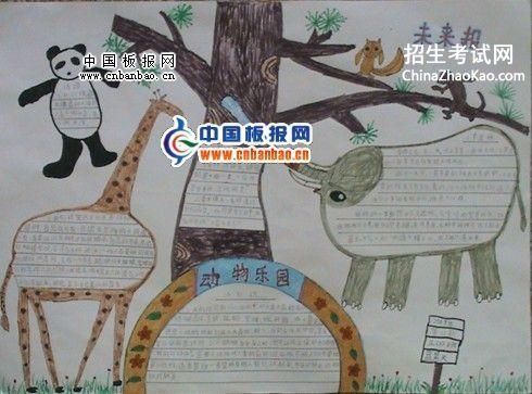动物乐园手抄报